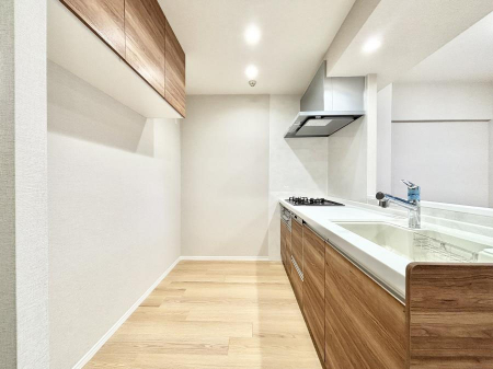 �L�b�`���@��Ƃ肠��L�b�`���X�y�[�X�ł�������H��̌�Еt�����X���[�Y�ɁI