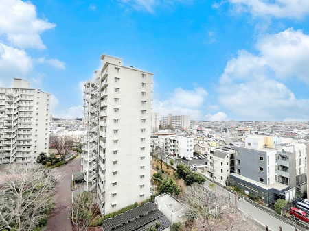 ���̑��@�o���R�j�[����̒��]�ł��B