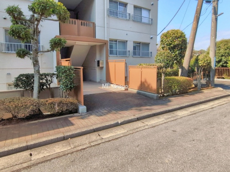 �G���g�����X�@-