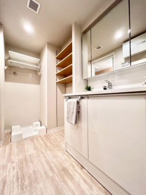 ���ʑ�E���ʏ��@�X�^�C�����O�ɕ֗��ȎO�ʋ��A�~���[�L���r�l�b�g�ōׂ������X�b�L��