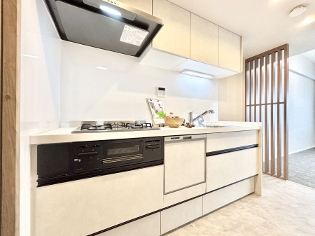 �L�b�`���@�������̂������ŉƑ��̏Ί炪�L����܂��I