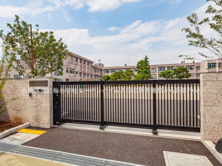 ���ӊ��@���w�Z 790m ���旧�g�~���w�Z