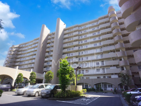 ���n�O�ώʐ^�@����z���ł��Ƒ��̏Ί���P�� 