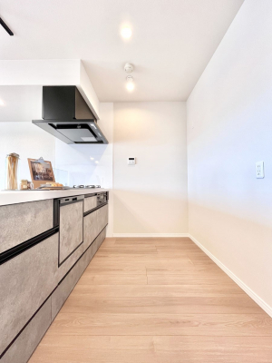 �L�b�`���@��Ƃ肠��L�b�`���X�y�[�X�ł�������H��̌�Еt�����X���[�Y�ɁI