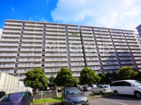 ���n�O�ώʐ^�@����z���ł��Ƒ��̏Ί���P�� 