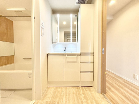 ���ʑ�E���ʏ��@����