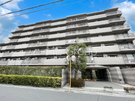 ���n�O�ώʐ^�@����z���ł��Ƒ��̏Ί���P��