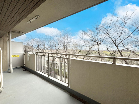 �o���R�j�[�@�S�n�悢���������Ȃ��炨���󕨂����������ł�