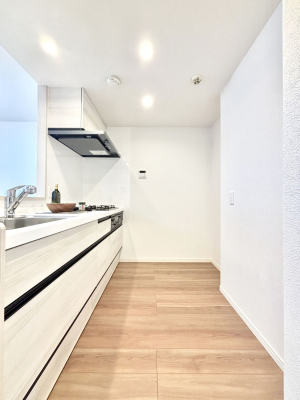 �L�b�`���@��Ƃ肠��L�b�`���X�y�[�X�ł�������H��̌�Еt�����X���[�Y�ɁI