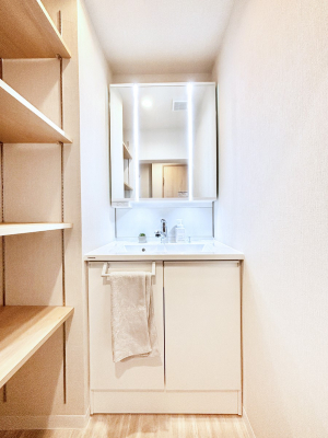 ���ʑ�E���ʏ��@����@�u����Ɛ��ʑ�͕ʁX�ɂȂ��Ă��܂��B���Ƒ����������ł���􂢂��ł��܂��B