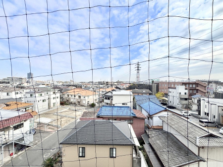 ���̑��@�o���R�j�[����̒��]�ł�