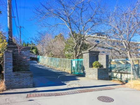 ���ӊ��@���w�Z 1600m �䑷�q�s���v���ƒ��w�Z