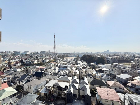 ���̑��@�o���R�j�[����̒��]�ł��B