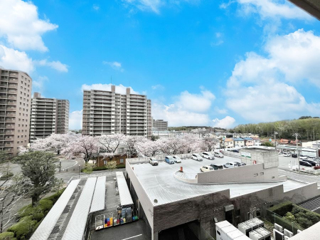 ���̑��@���Z�܂�����̒��]�ł��I  