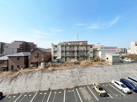 ���̑��@�o���R�j�[����̒��]�ł�