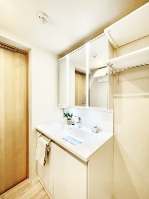 ���ʑ�E���ʏ��@�X�^�C�����O�ɕ֗��ȎO�ʋ��A�~���[�L���r�l�b�g�ōׂ������X�b�L��