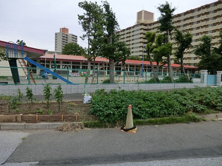 ���ӊ��@�c�t���E�ۈ牀 1000m ���l�c�t��