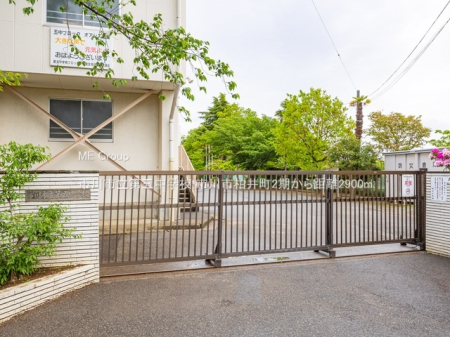 ���ӊ��@���w�Z 2900m �s��s����ܒ��w�Z