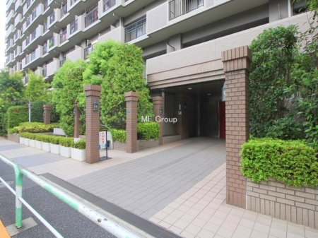 �G���g�����X�@-