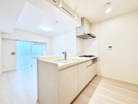 �L�b�`���@�J�E���^�[�z���Ɋy����������ׂ�B�����̂������������Ɣ��������Ȃ肻���ł��ˁB