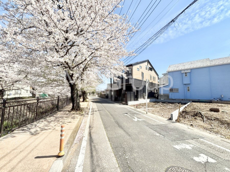 ���n�O�ώʐ^�@��������n�܂�V�����������������܂�