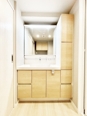 ���ʑ�E���ʏ��@�X�^�C�����O�ɕ֗��ȎO�ʋ��A�~���[�L���r�l�b�g�ōׂ������X�b�L��