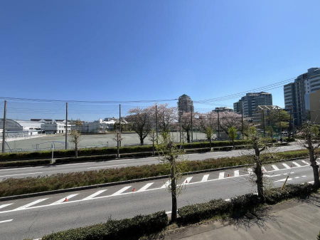 ���̑��@�o���R�j�[����̒��]�ł��B�S�n�悢����������ꂻ���ł��ˁI