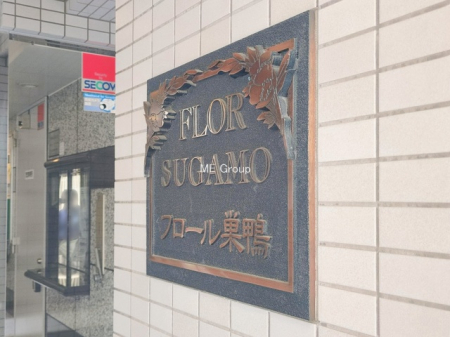 �G���g�����X�@-