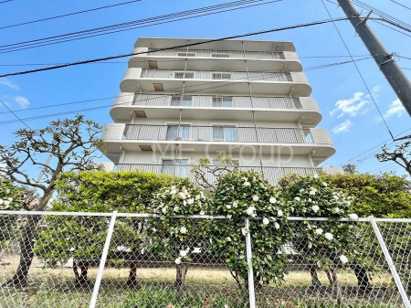 ���n�O�ώʐ^�@����z���ł��Ƒ��̏Ί���P�� 