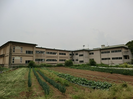 ���ӊ��@���w�Z 1300m ���R�s���������w�Z