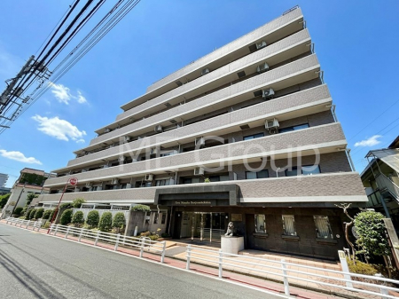 ���n�O�ώʐ^�@����z���ł��Ƒ��̏Ί���P�� 