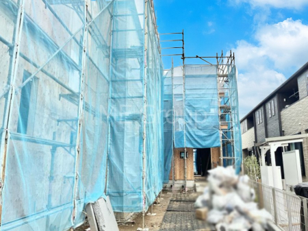 ���n�O�ώʐ^�@����z���ł��Ƒ��̏Ί���P��