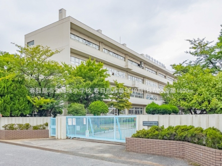 ���ӊ��@���w�Z 1600m �t�����s�����ˏ��w�Z