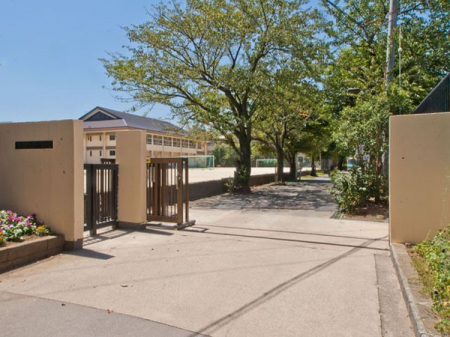 ���ӊ��@���w�Z 1100m �s��s����ꒆ�w�Z