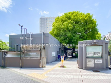 ���ӊ��@�a�@ 950m �����s����a�@