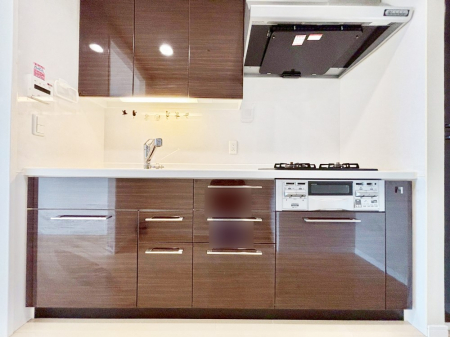 �L�b�`���@�������������I�ɁA�y�����I�V�X�e���L�b�`��