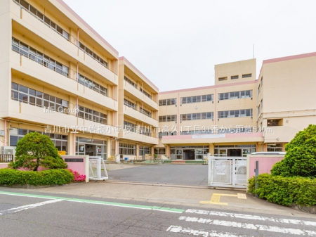 ���ӊ��@���w�Z 530m �g��s�����]�����w�Z