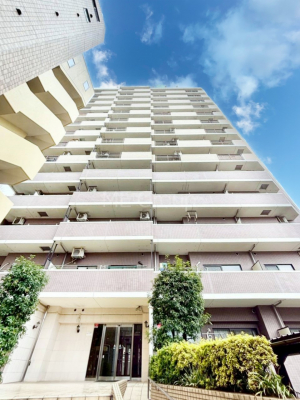 ���n�O�ώʐ^�@����z���ł��Ƒ��̏Ί���P�� 