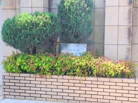 �G���g�����X�@-