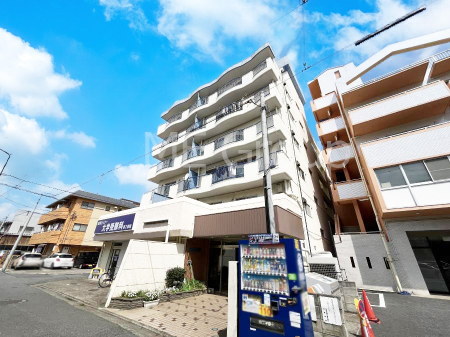 ���n�O�ώʐ^�@����z���ł��Ƒ��̏Ί���P��