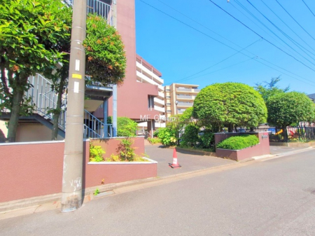 �G���g�����X�@-