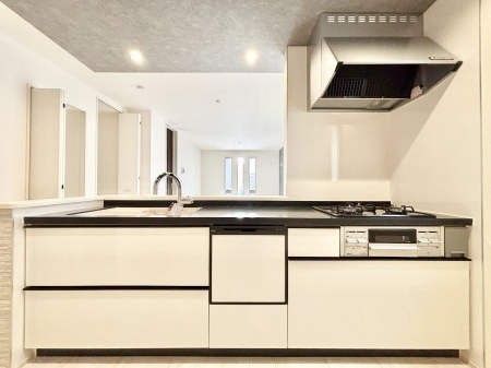 �L�b�`���@�������������I�ɁA�y�����I�V�X�e���L�b�`��   