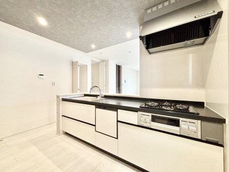 �L�b�`���@���������Ȃ���ł����Ƒ��Ƃ̉�b���y���߂�ΖʃL�b�`�� 