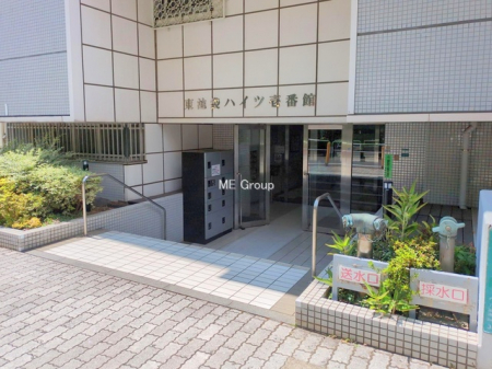 �G���g�����X�@-