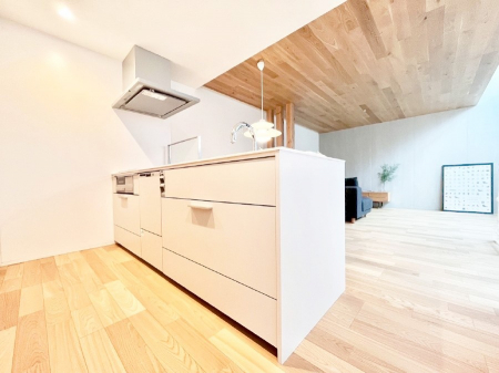 �L�b�`���@�������������I�ɁA�y�����I�V�X�e���L�b�`��  