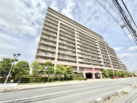 ���n�O�ώʐ^�@��Ƃ肪�Ί�𐶂ސS�n�悢����