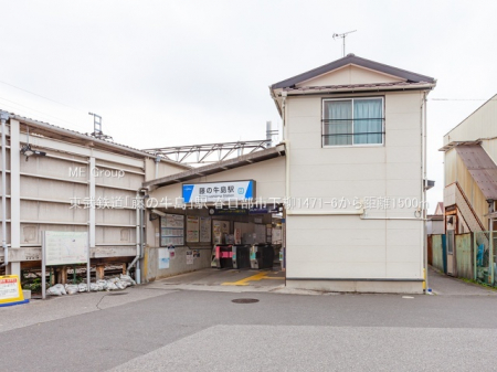 ���ӊ��@�w 1500m �����S���u���̋����v�w