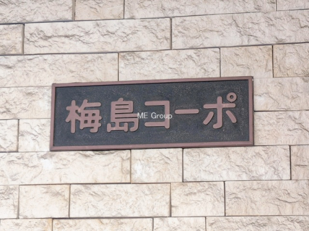 �G���g�����X�@-