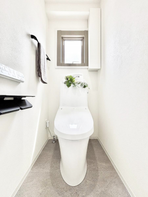 �g�C���@�������̂��锒����Ƃ���������������