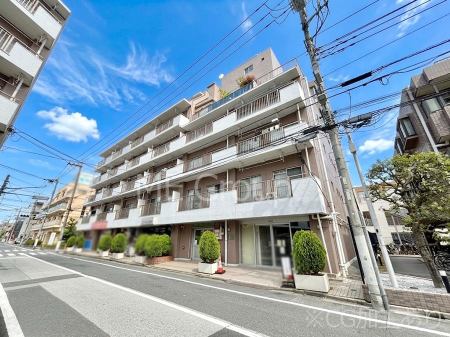 ���n�O�ώʐ^�@����z���ł��Ƒ��̏Ί���P�� 